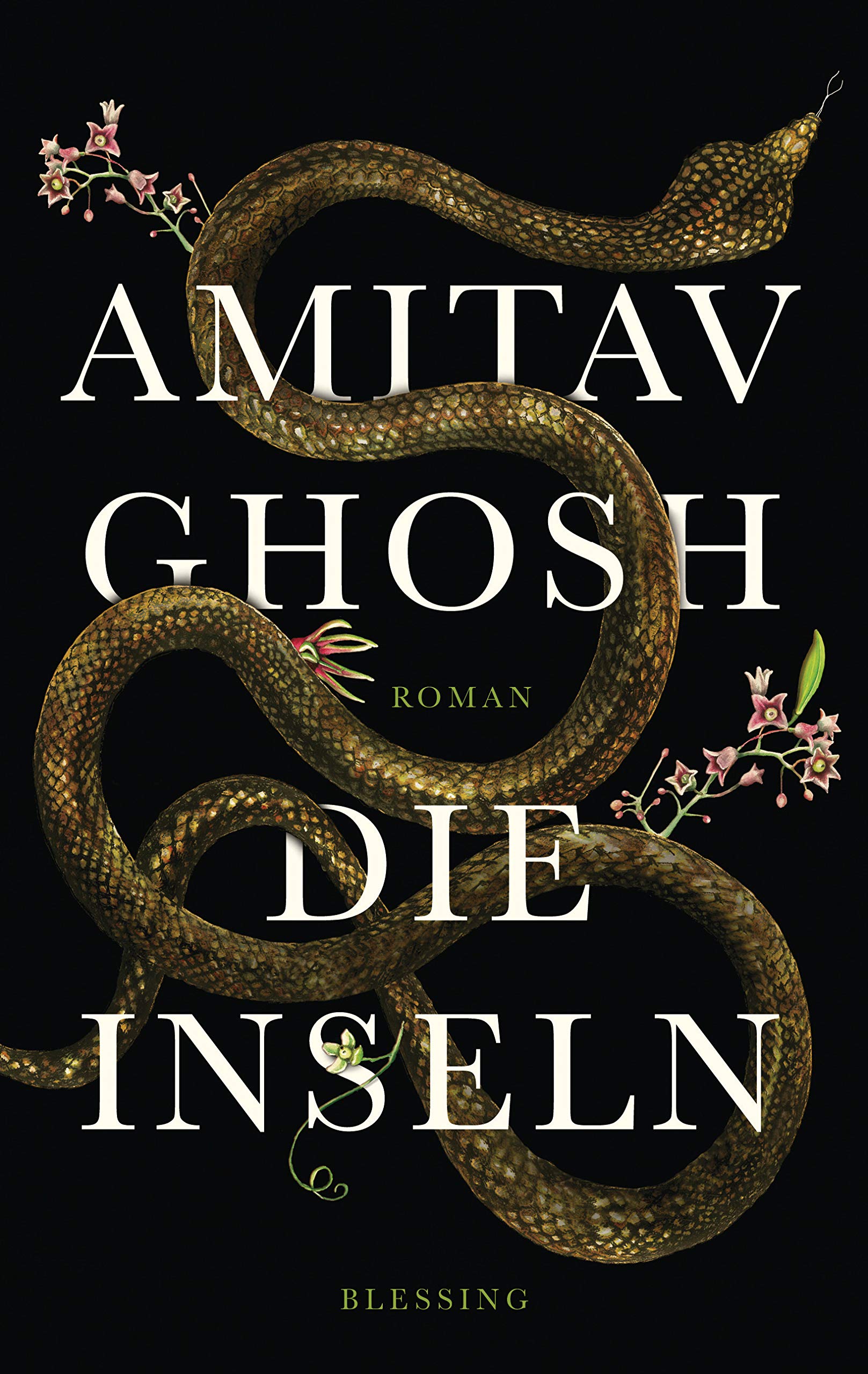 Die Inseln Contemporary literature Books