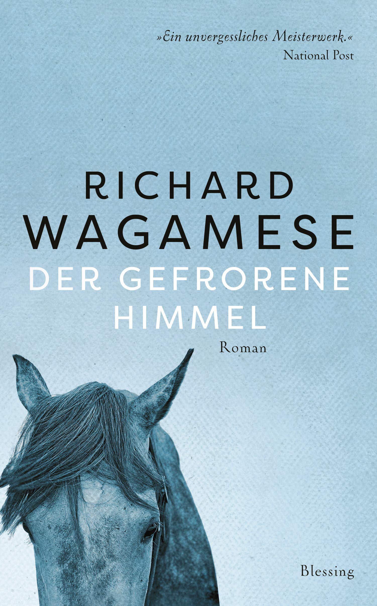 Der gefrorene Himmel Contemporary literature Books