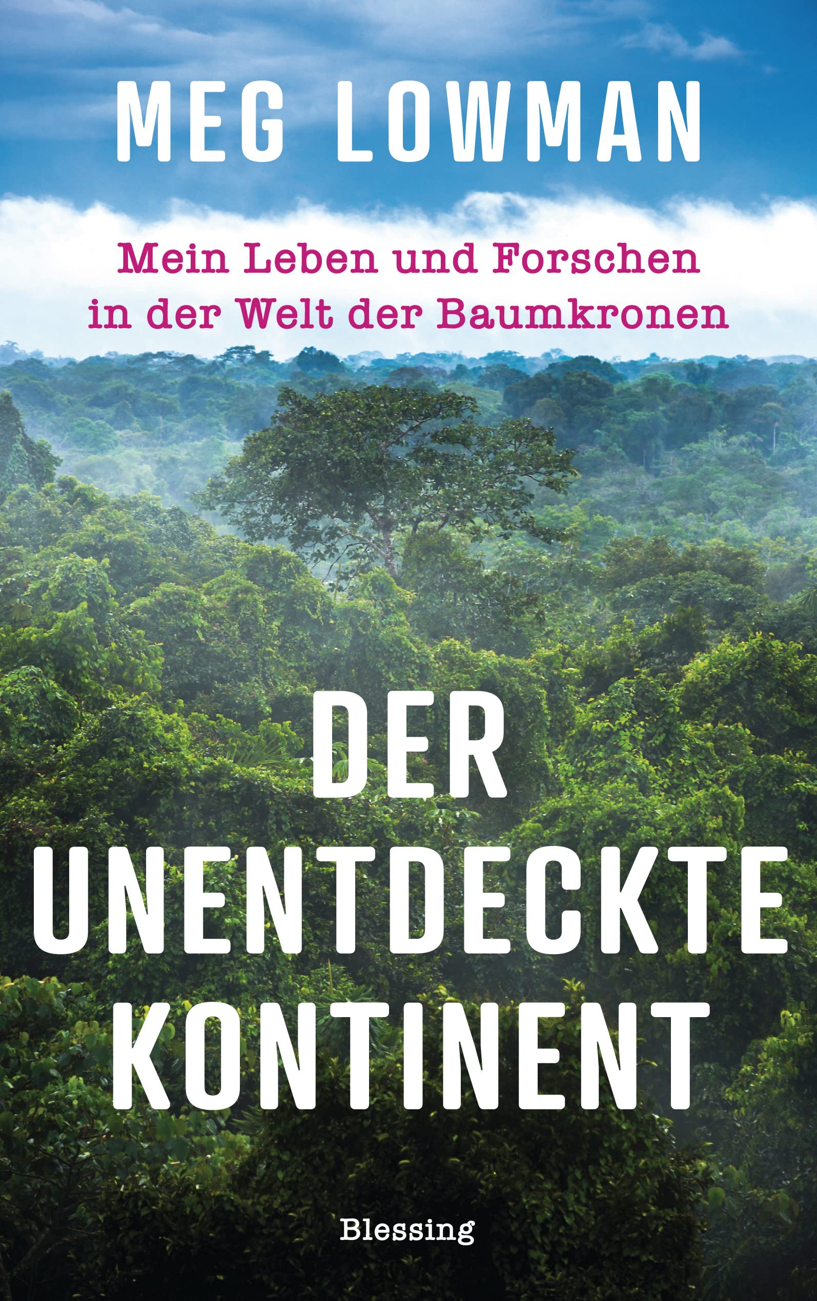 Der unentdeckte Kontinent Architecture Books