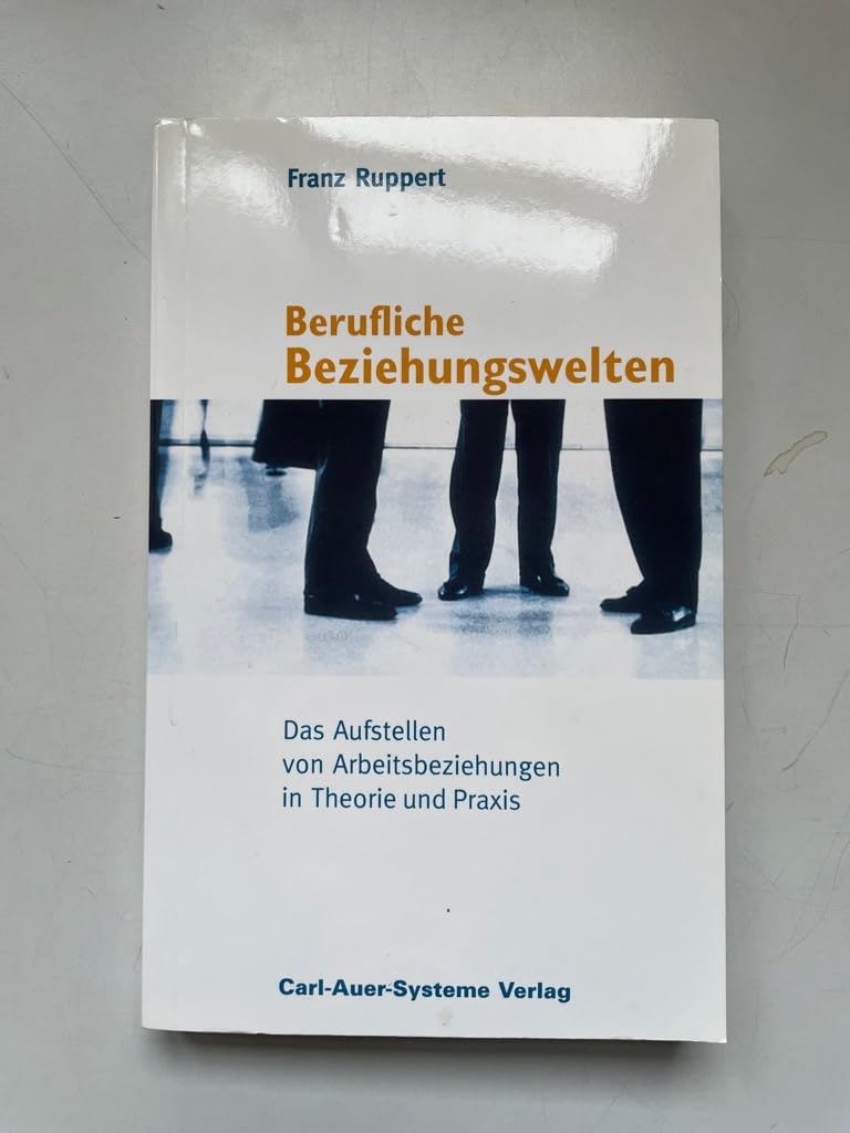 Berufliche Beziehungswelten: Das Aufstellen von Arbeitsbeziehungen in Theorie und Paxis Business, Finance & Career