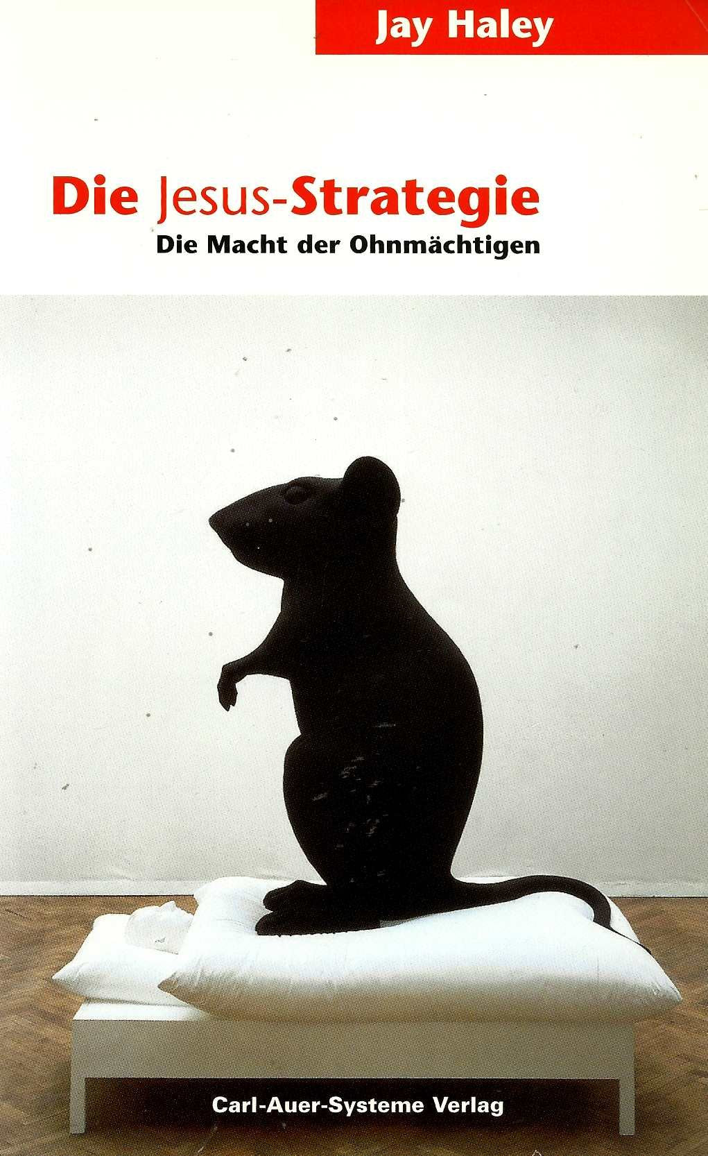 Die Jesus-Strategie: Die Macht der Ohnmächtigen Psychology