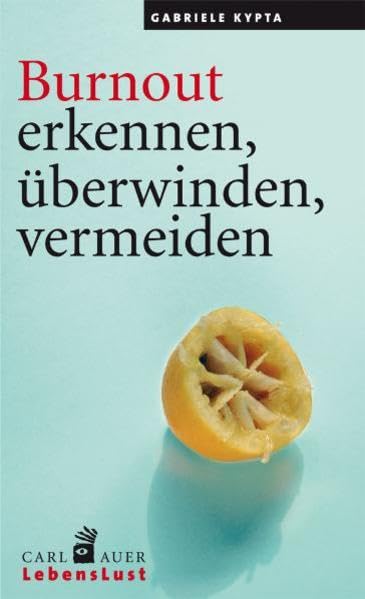 Burnout erkennen, überwinden, vermeiden Business, Finance & Career
