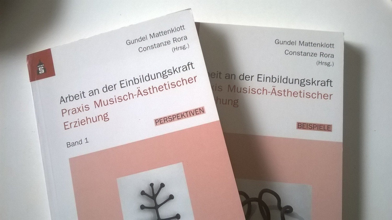 Arbeit an der Einbildungskraft. 2 Bände Politics & History
