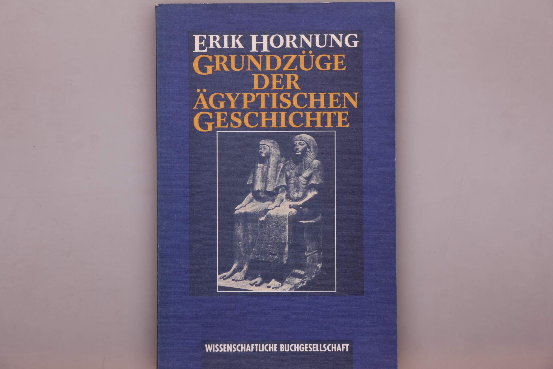 Grundzüge der ägyptischen Geschichte Politics & History
