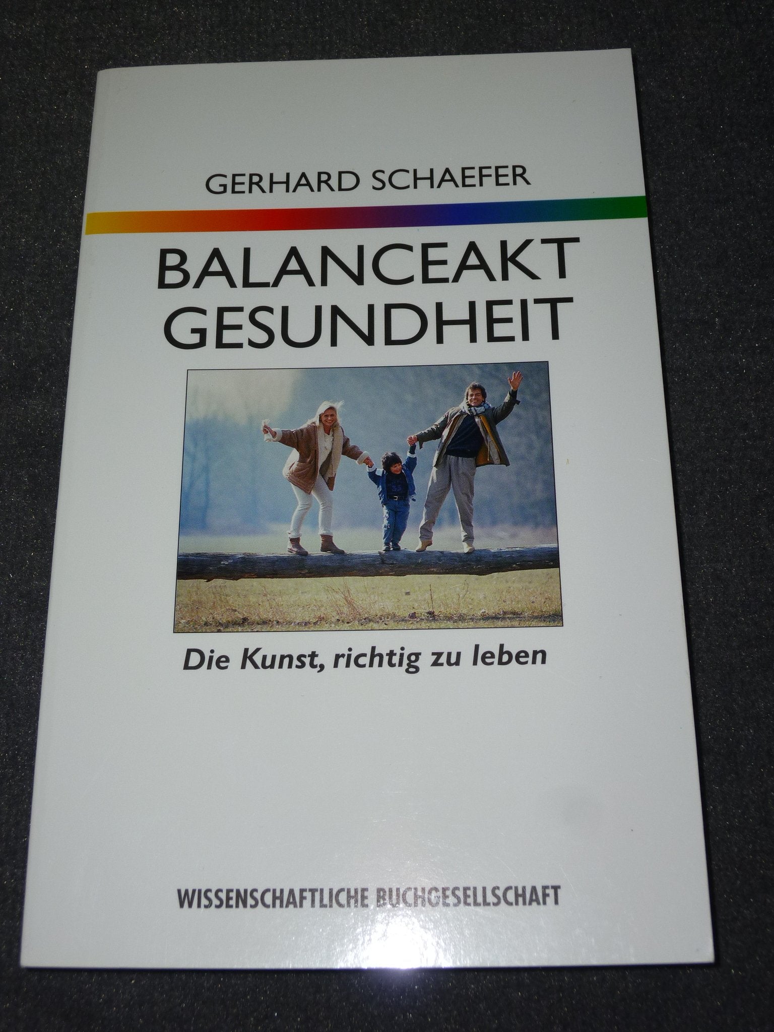 Balanceakt Gesundheit book