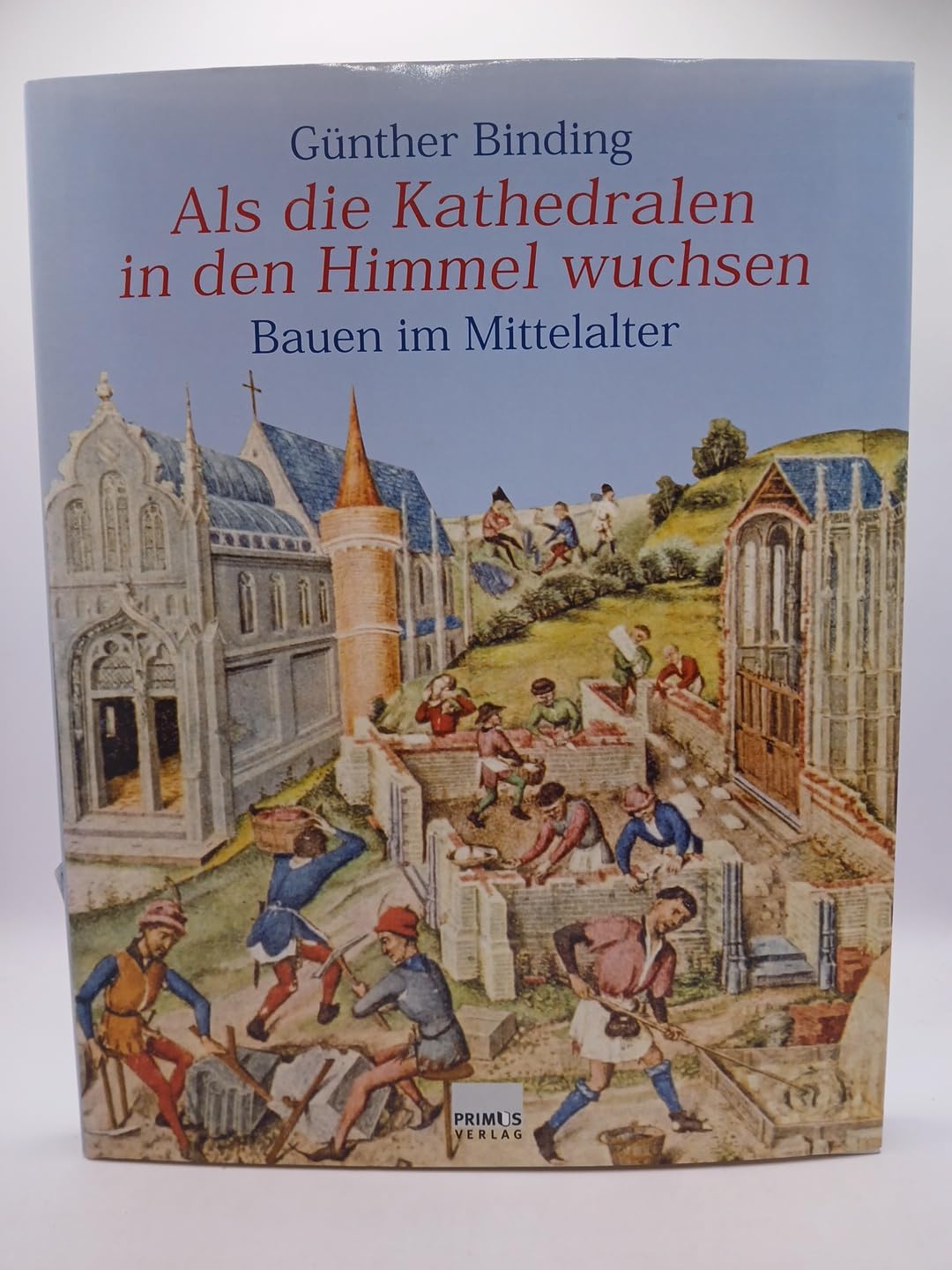 Als die Kathedralen in den Himmel wuchsen. Bauen im Mittelalter Business, Finance & Career