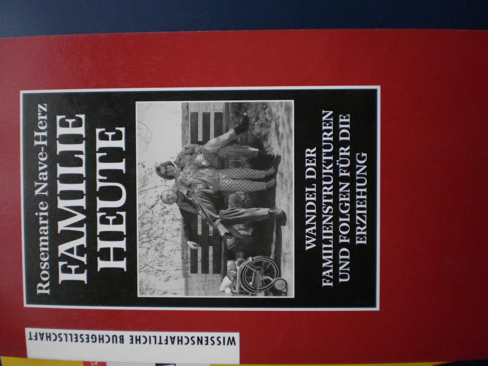 Familie heute: Wandel der Familienstrukturen und Folgen für die Erziehung Social Sciences