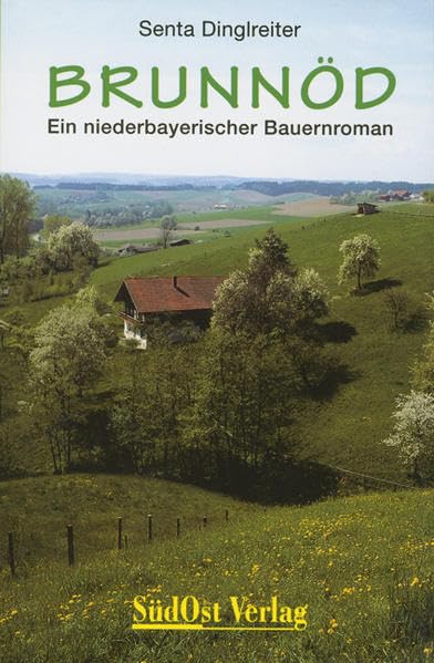 Brunnöd Historical Fiction