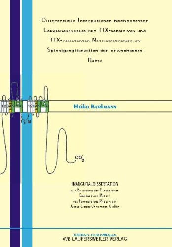Differentielle Interaktionen Hochpotenter Lokalanästhetika mit TTX-sensitiven und TTX-resistenten Natriumströmen an Spinalganglienzellen der erwachsenen Ratte Medicine