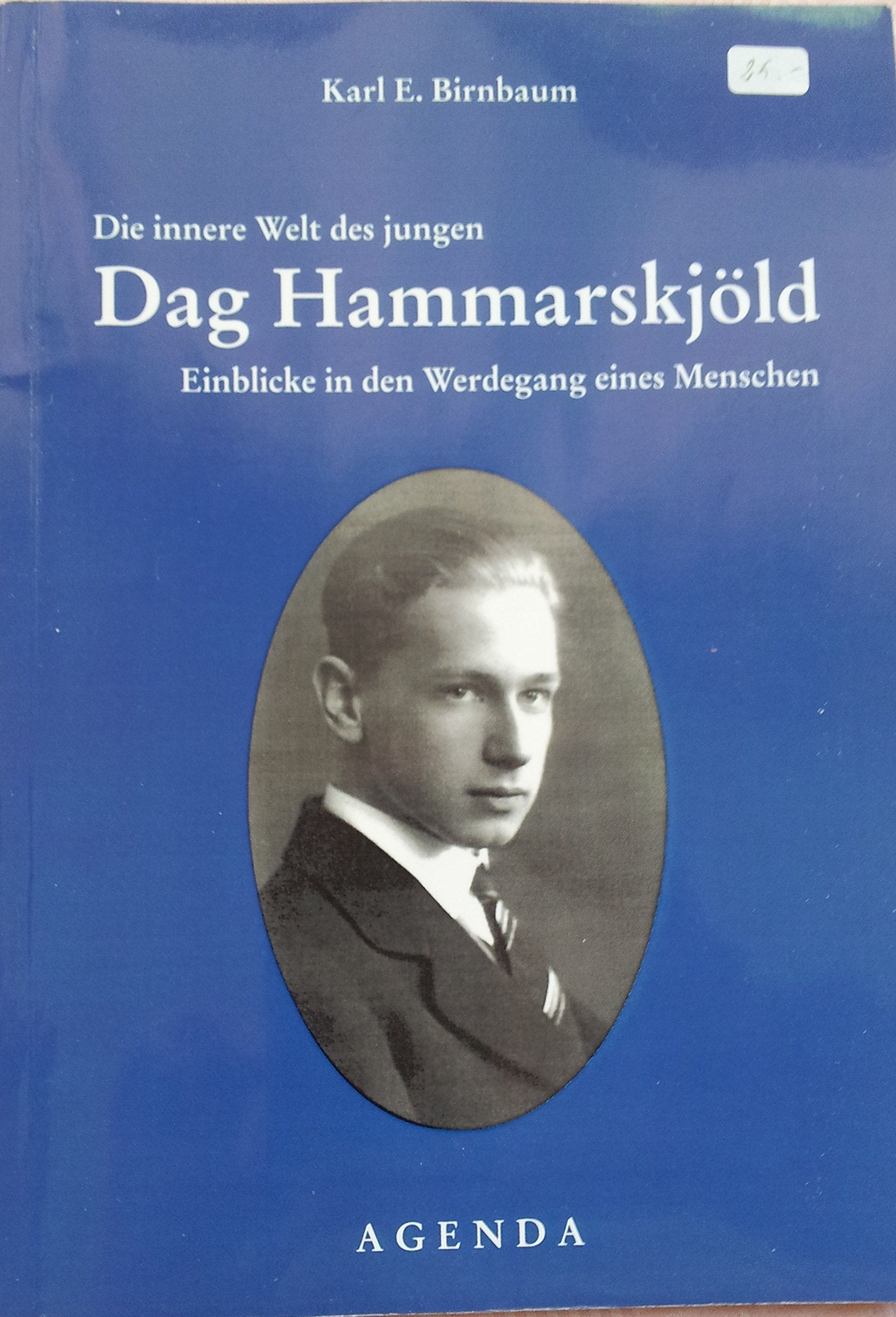 Die innere Welt des jungen Dag Hammarskjoeld: Einblicke in den Werdegang eines Menschen Business & Technology