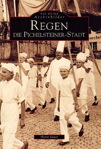 Regen. Die Pichelsteiner-Stadt Social Sciences