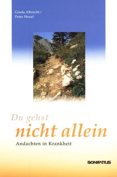 Du gehst nicht allein: Andachten in Krankheit Religion & Esotericism