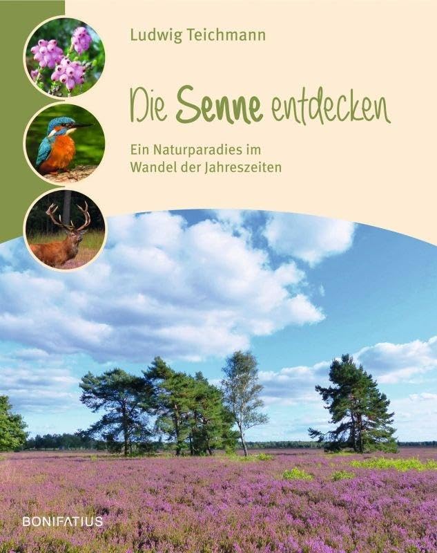 Product Image: Die Senne entdecken