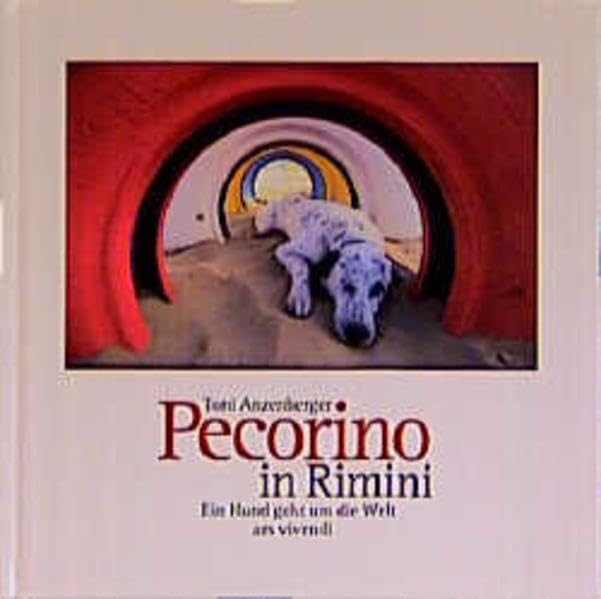 Pecorino in Rimini book