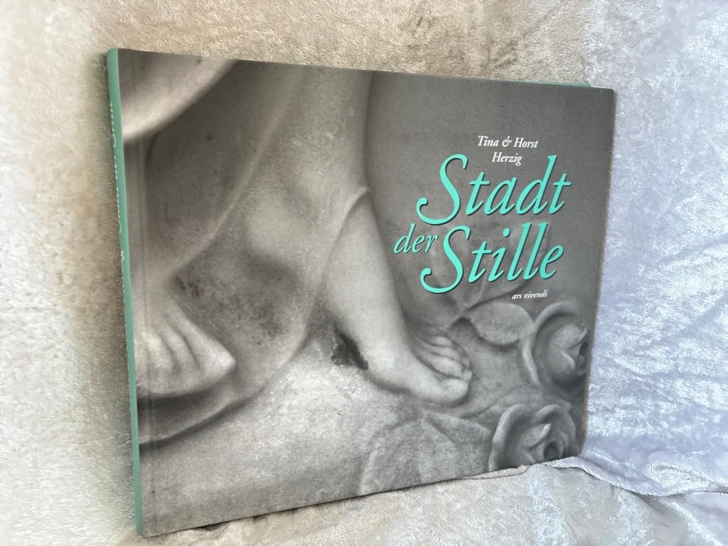 Stadt der Stille Living & Furnishing Books