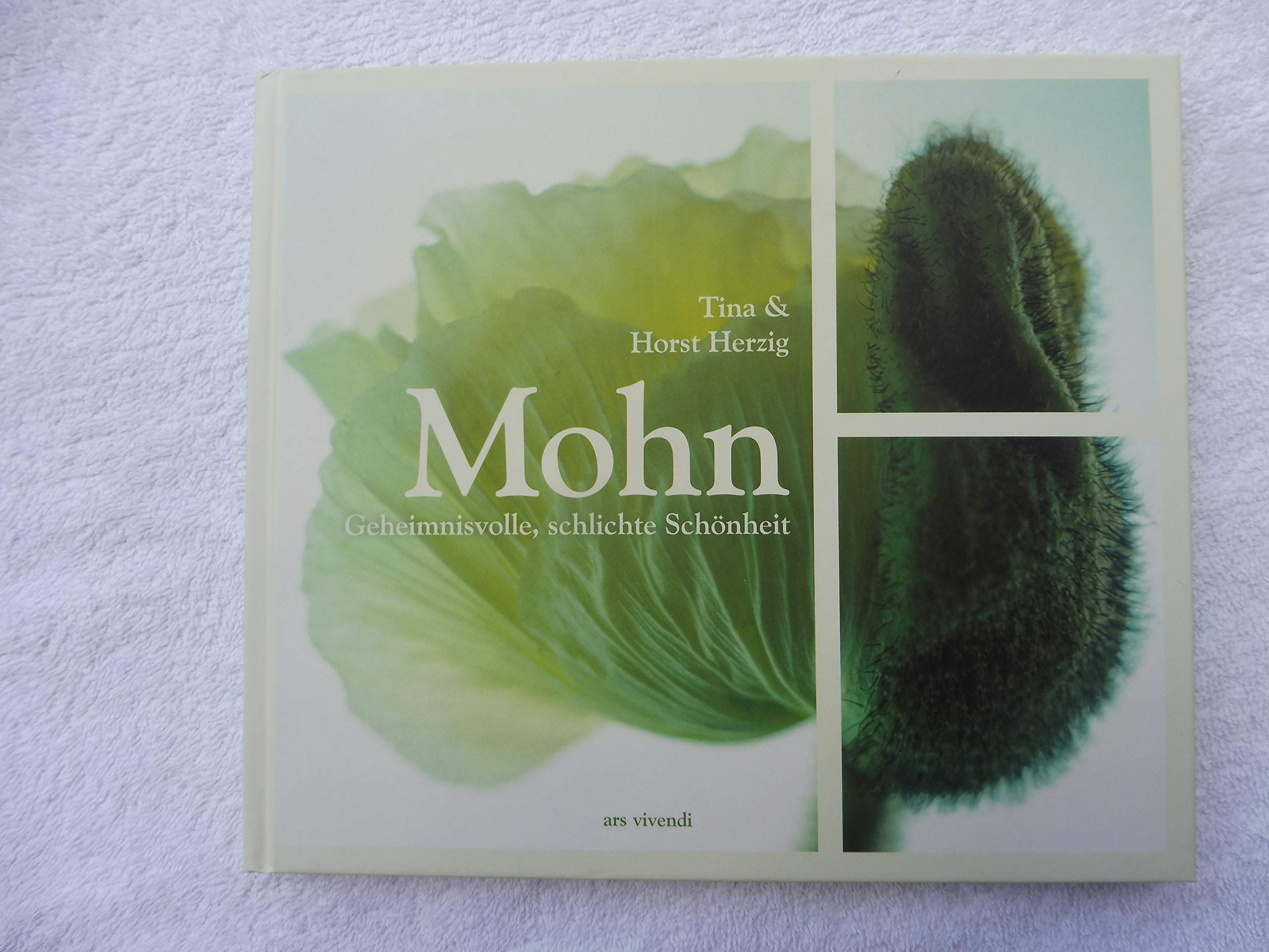 Mohn. Geheimnisvolle, schlichte Schönheit Garden & Plants