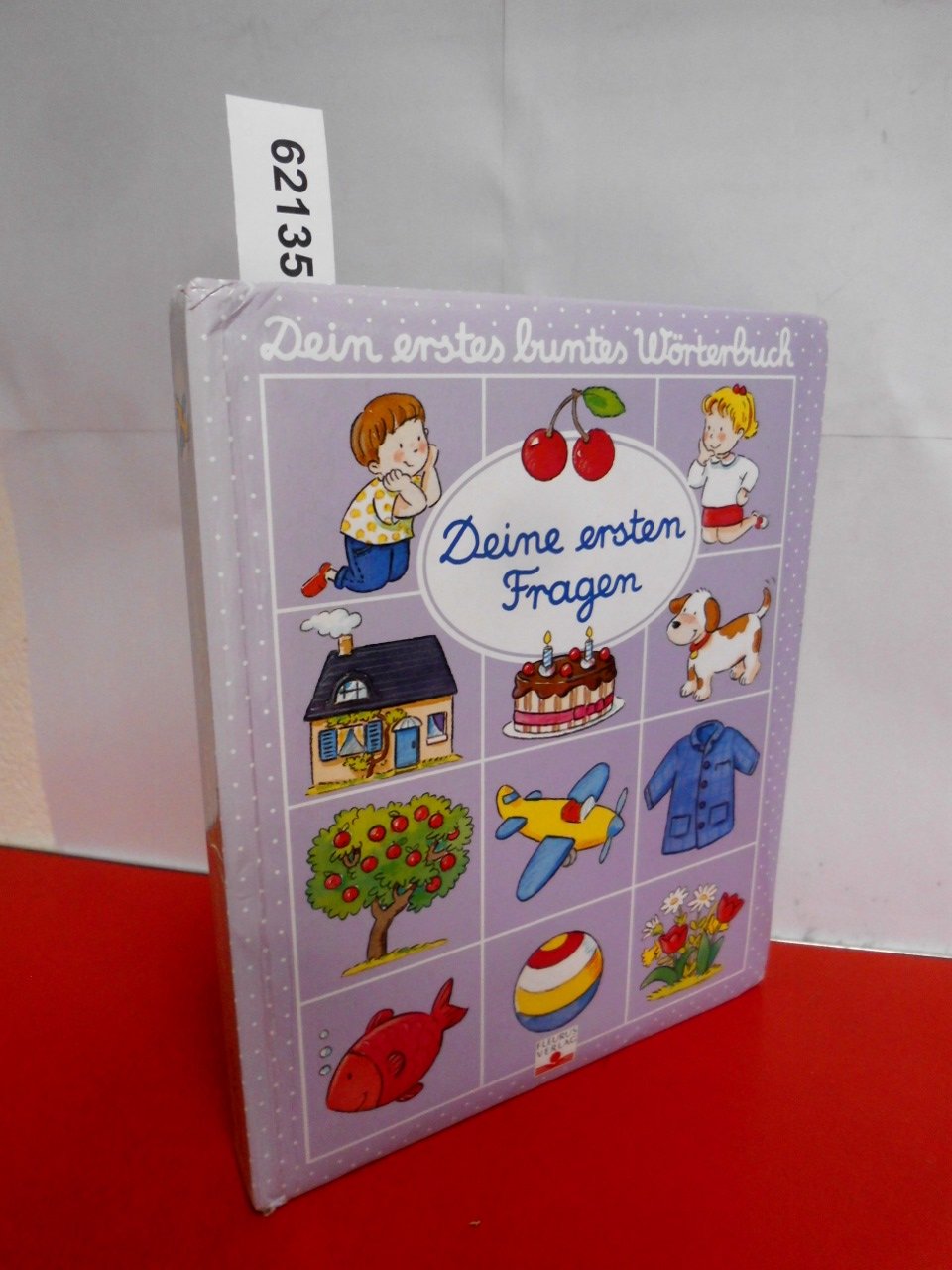 Deine ersten Fragen (Dein erstes buntes Wörterbuch) Books