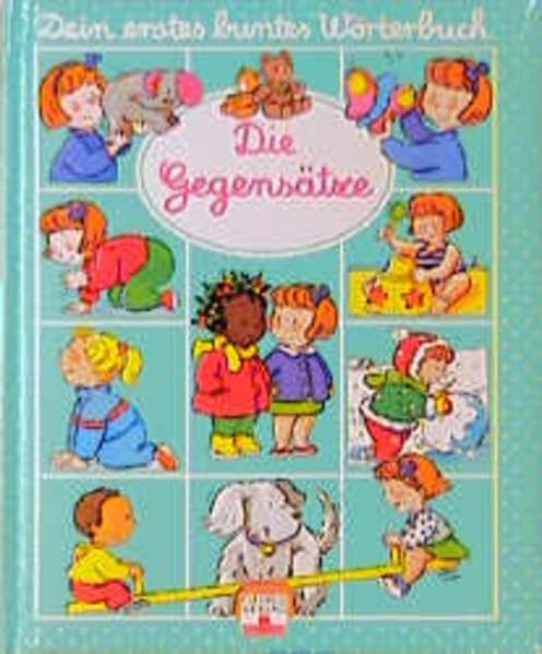 Die Gegensätze (Dein erstes buntes Wörterbuch) Non-fiction