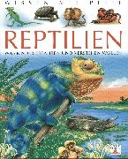 Reptilien: Was Kinder erfahren und verstehen wollen Non-fiction