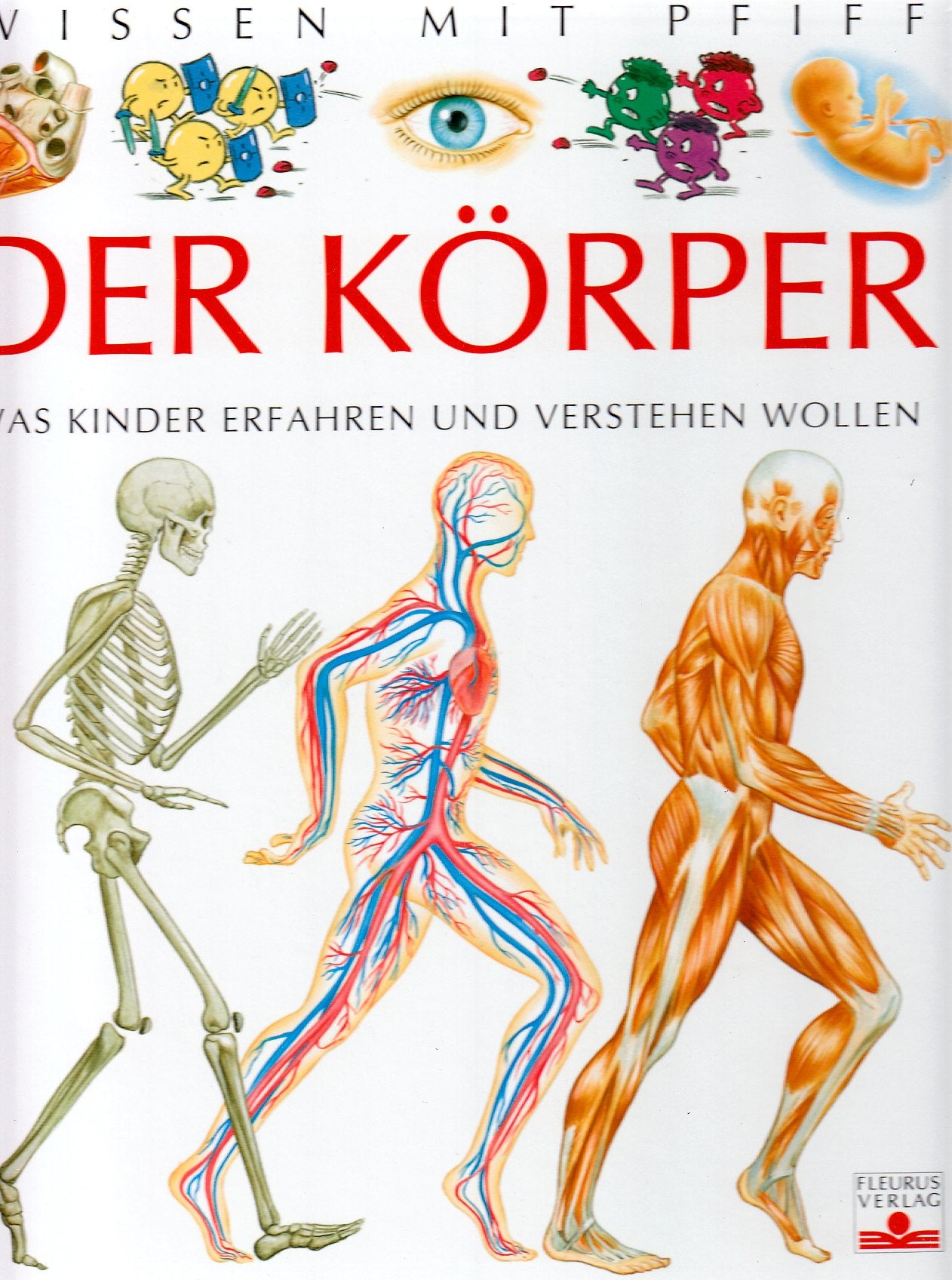 Der Körper: Was Kinder erfahren und verstehen wollen Children's books