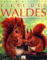 Tiere des Waldes: Was Kinder erfahren und verstehen wollen Non-fiction
