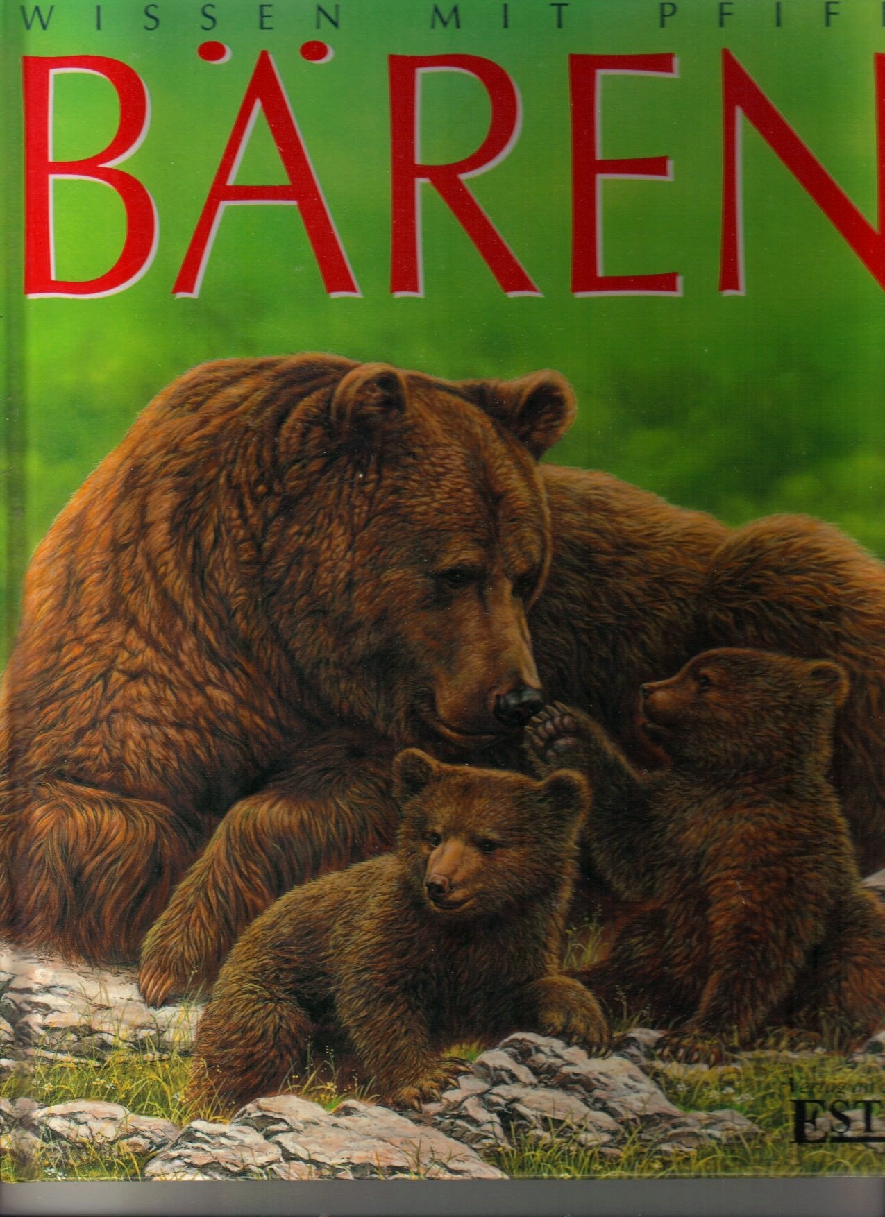 Bären: Was Kinder erfahren und verstehen wollen Non-fiction
