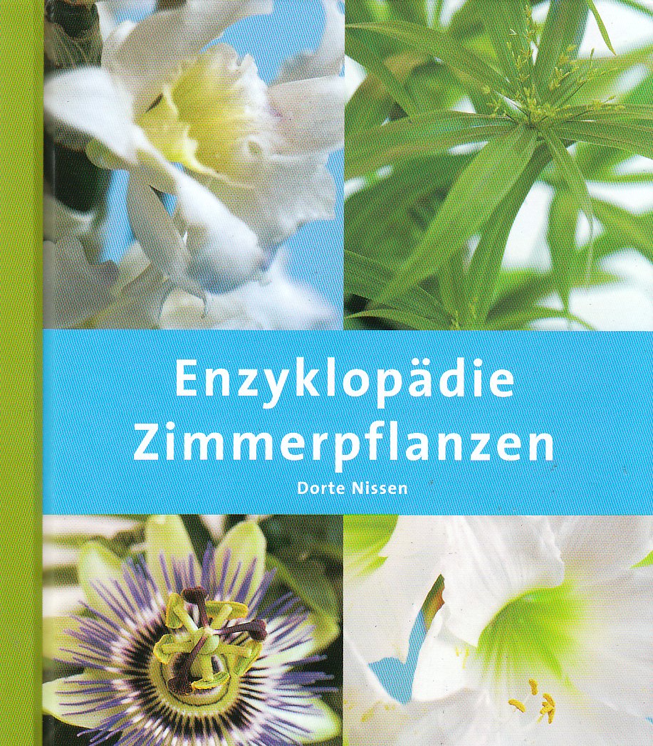Zimmerpflanzen (Enzyklopädie) Garden & Plants