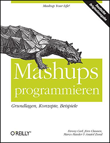 Mashups programmieren Computer Science