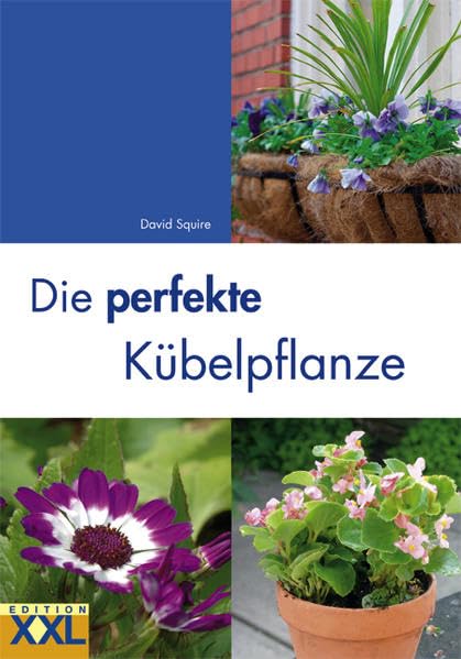 Product Image: Die perfekte Kübelpflanze