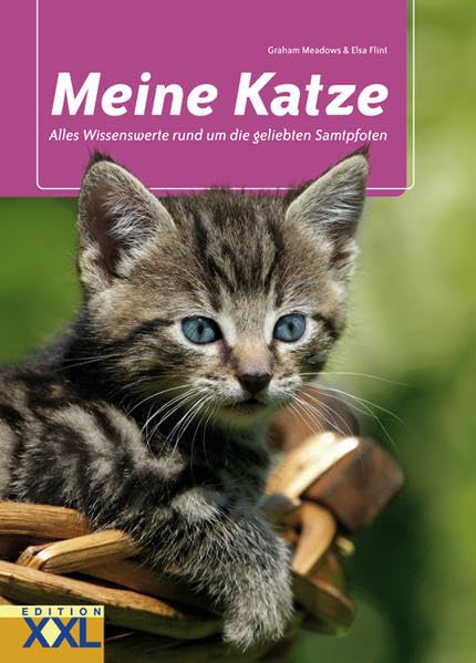 Meine Katze: Alles Wissenswerte rund um die geliebten Samtpfoten Pets