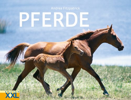 Pferde Pets