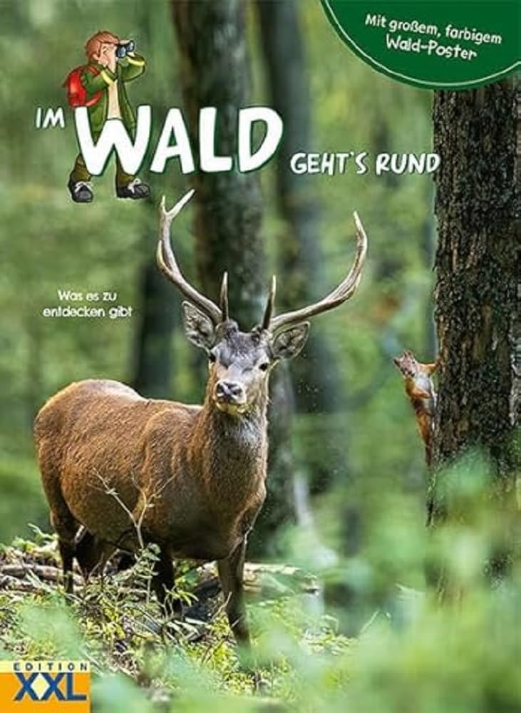Product Image: Im Wald geht's rund - mit großem, farbigem Poster