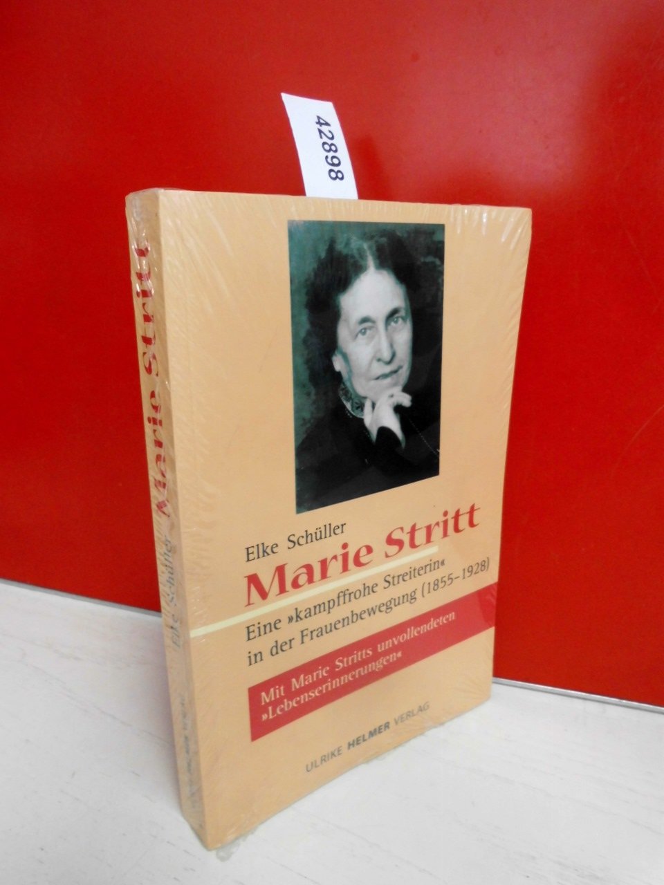 Marie Stritt – Eine 'kampffrohe Streiterin' in der Frauenbewegung (1855-1928): Mit dem erstmaligen Abdruck der unvollendeten Lebenserinnerungen von ... Hrsg. v. Archiv d. deutschen Frauenbewegung Politics & Society Books