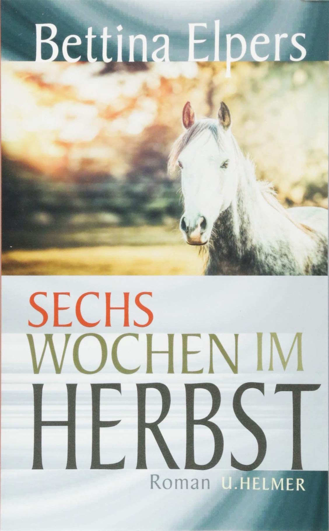 Sechs Wochen im Herbst Contemporary literature Books