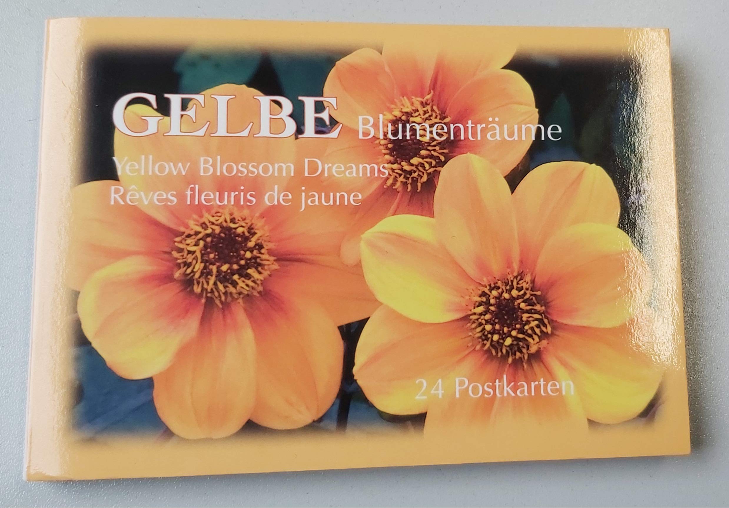 Gelbe Blumenträume: 30 Postkarten Books