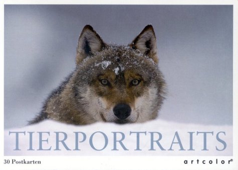 Tierportraits. 30 Postkarten Business, Finance & Career
