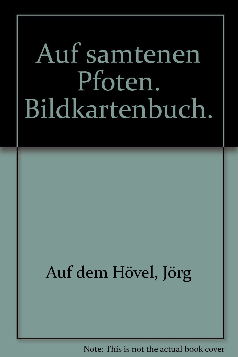 Auf samtenen Pfoten. Bildkartenbuch. Mit 30 ausgewählten Top-Motiven Books