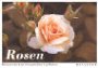 Product Image: Rosen: 30 Postkarten /30 Postcards /30 Cartes Postales