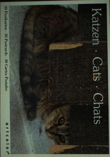 Katzen /Cats /Chats: 30 Postkarten /30 Postcards /30 Cartes Postales Books