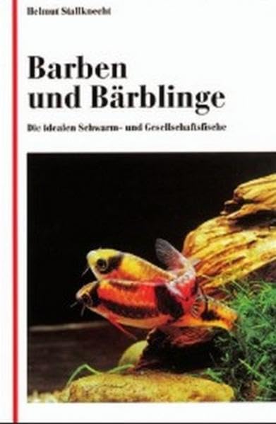 Barben und Bärblinge: Die idealen Schwarm- und Gesellschaftsfische Pets