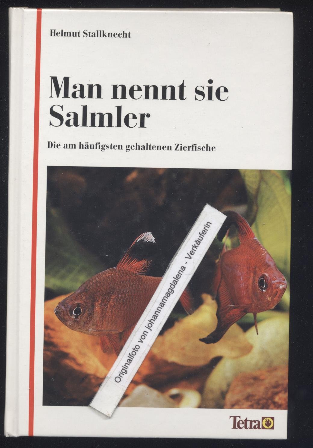 Man nennt sie Salmler: Die am häufigsten gehaltenen Zierfische Pets