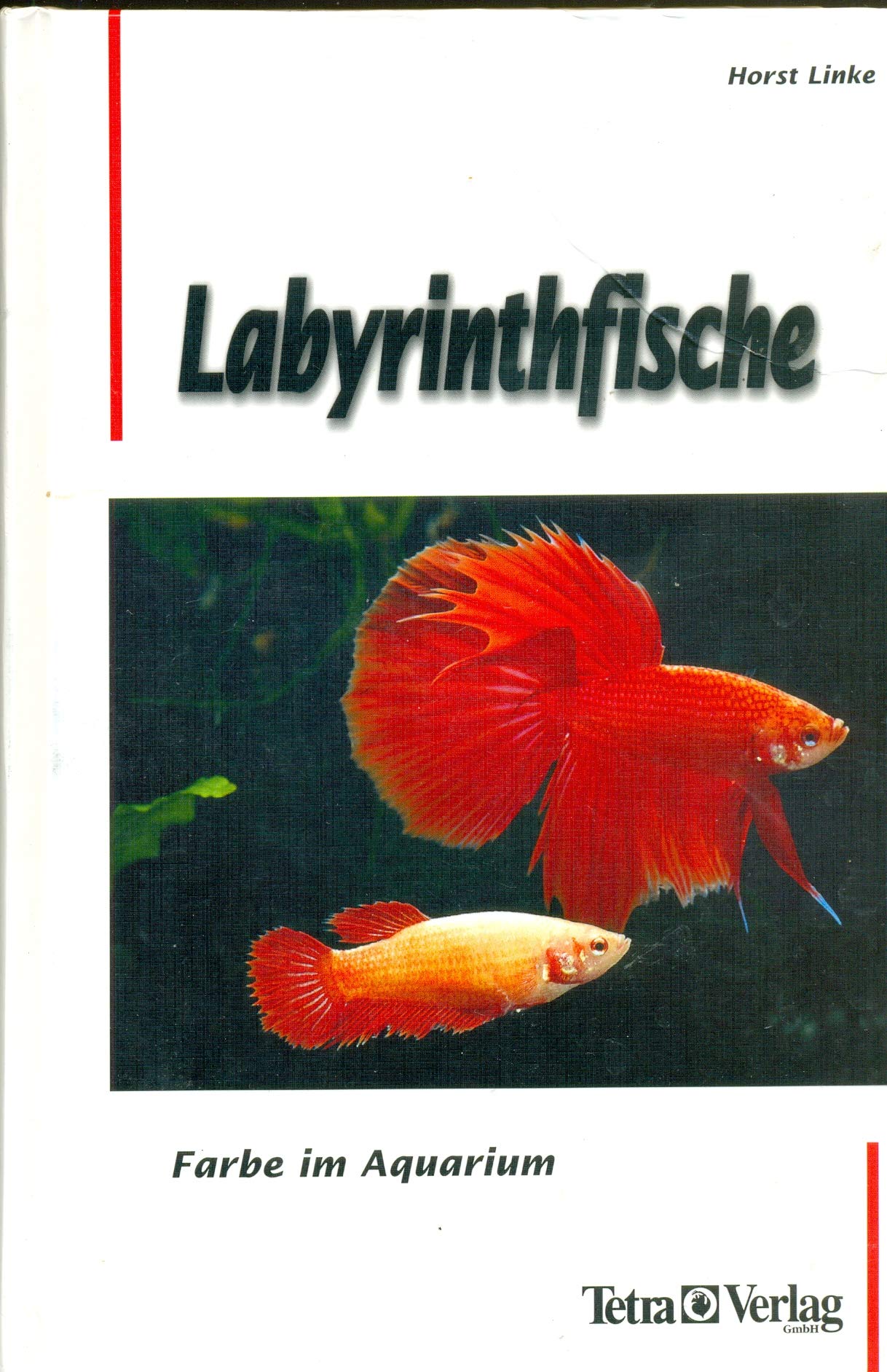 Labyrinthfische. Farbe im Aquarium book