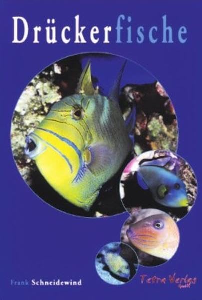 Drückerfische Pets