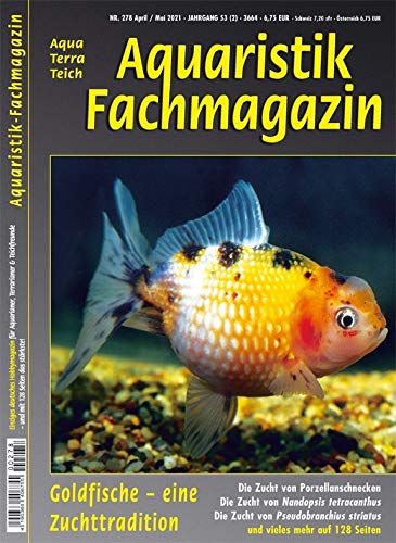 Aquaristik-Fachmagazin, Ausgabe Nr. 278 (April/Mai 2021), Titelthema: GOLDFISCHE - EINE ZUCHTTRADITION und viele weitere Artikel im einzigen deutschen AquaTerraTeich-Magazin auf 128 Seiten Books