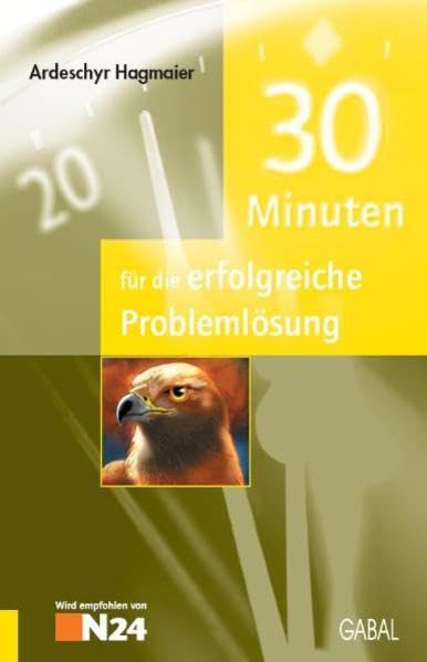 30 Minuten für die erfolgreiche Problemlösung Business, Finance & Career