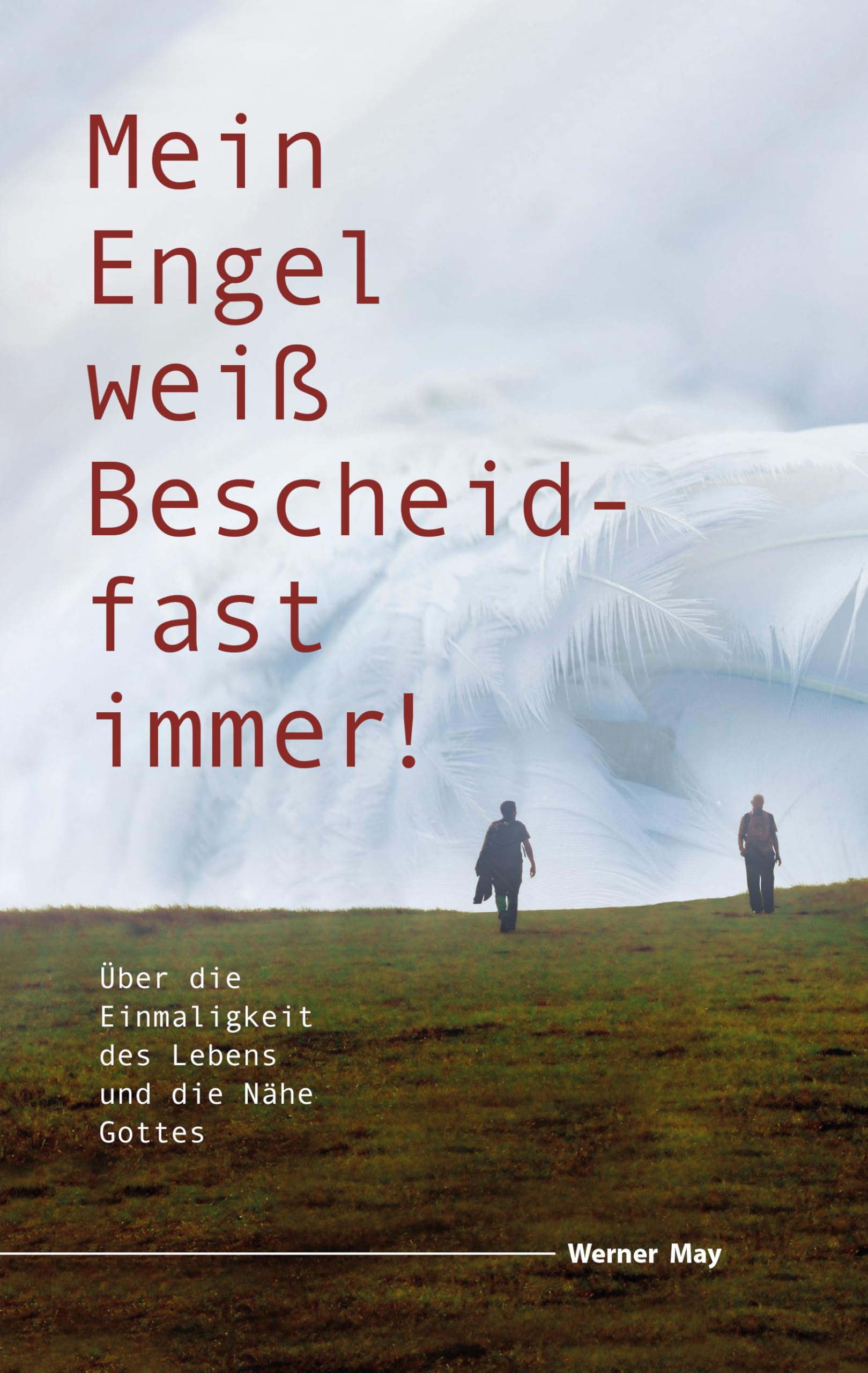 Mein Engel weiß Bescheid – fast immer: Über die Einmaligkeit des Lebens und die Nähe Gottes Contemporary literature