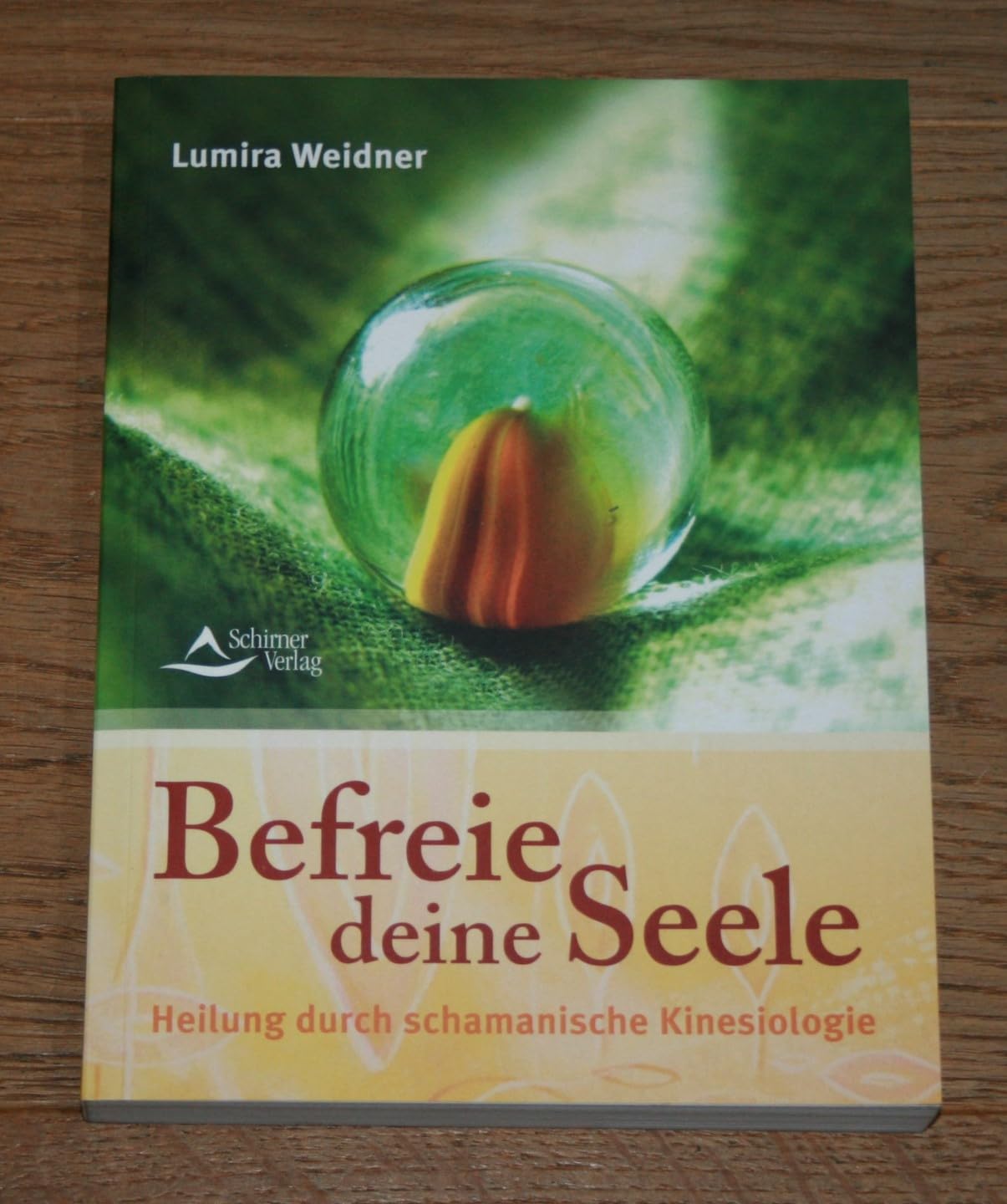 Schamanische Kinesiologie: Praxisbuch zur Befreiung der Seele Health, Nutrition & Fitness