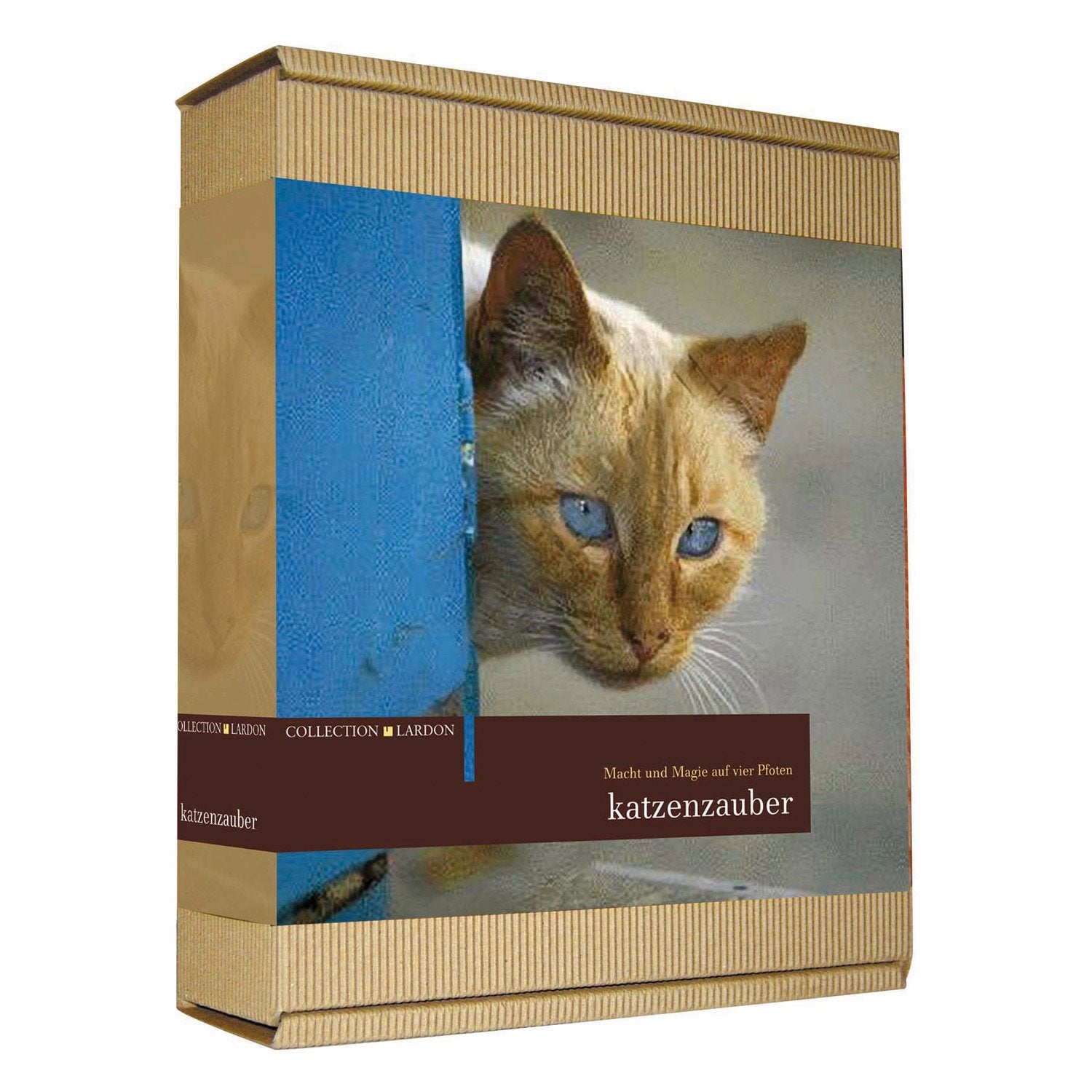Katzenzauber - Geschenkbox: Macht und Magie auf vier Pfoten (Collection Lardon) Living & Furnishing