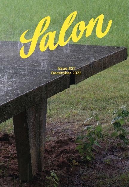 Salon 21: Ein Magazin (Salon: Ein Magazin) Photography