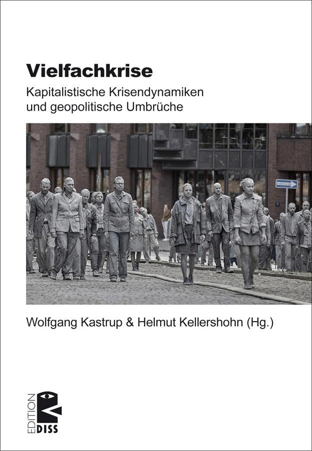 Product Image: Vielfachkrise